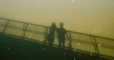 Two figures silhouetted on a bridge railing